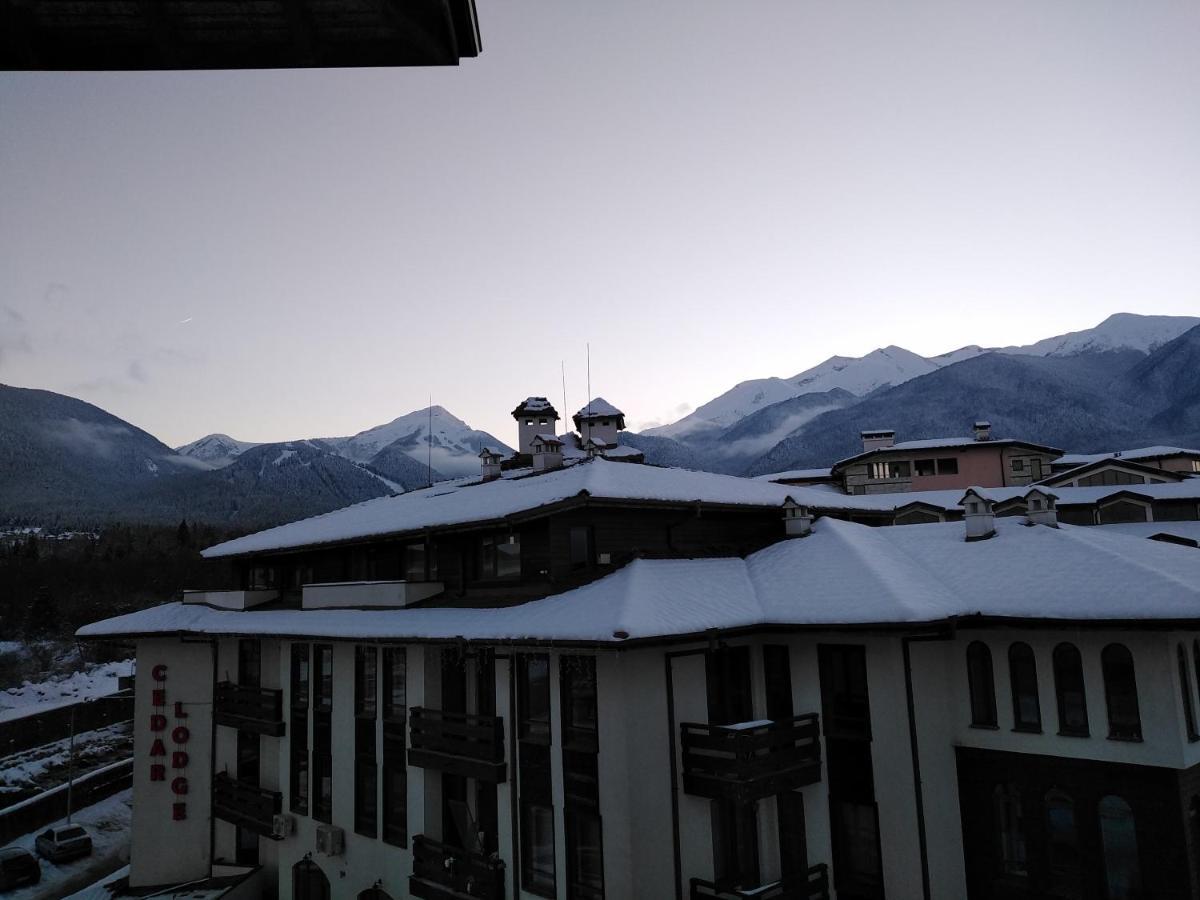 Bansko Royal Towers - Studio 153 外观 照片